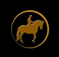 Logo de Tir Na Nog